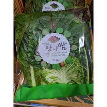 #가락시장 나물이네# 당일경매 삼겹살과 궁합딱인 모듬쌈250g내외/오후2시이전주문당일출고99%/주말 공휴일제외, 250g