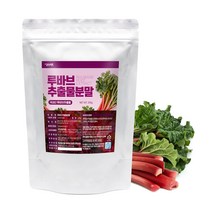 갑당약초 루바브 추출물 분말 가루 200g, 2개