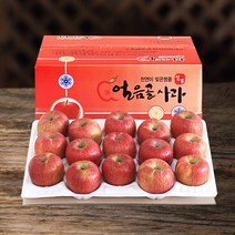 (산지직송) 밀양 얼음골사과 고당도 부사 5kg 10kg, 1box, 5kg 15과
