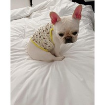밋리베 유니버셜나시 강아지옷 프렌치불독옷 중형견옷 실내복 애견의류, 노랑