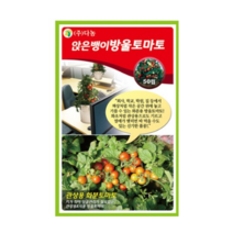 다농 앉은뱅이빨강방울토마토씨앗, 6개