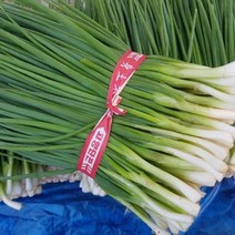 당일수확손질 해풍맞은 노지 깐쪽파 흙쪽파 1kg, 흙쪽파1kg, 100