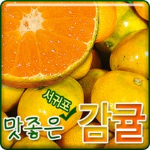 서귀포농원 첫수확 노지감귤 5kg 10 kg, 1개, 고당도 감귤 7.5kg로얄과(S~M)