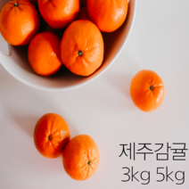 제주명품감귤 껍질얇은 귤 귤10키로 제주도귤택배 감귤단귤 감귤10키로 저농약귤 서귀포맛좋은감귤 당도높은귤 맛좋은감귤 싱싱한감귤 달달한귤 제주감귤 10키로 5키로 10kg 5kg, 감귤 5kg 중과 x 1박스