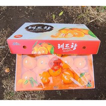 제주농장 한라봉+레드향 혼합 구성 세트 선물용 가정용 3kg 5kg 명절선물세트, 3.혼합 5kg 가정용