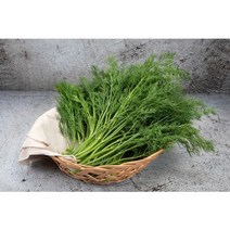 딜 가락시장 (500g)
