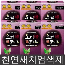 오디코디 오디코디앤 헤어컬러, 진한갈색, 6박스