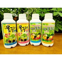 대유 물푸레 1호 2호) 수경재배 양액비료 영양제 엽채 관주용 과채류 화훼류용 500ml, 물푸레 2호 A+B SET