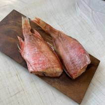 한시적 속초 수산 반건조 생선 두절열기 장문 볼락 열기 열갱이, 1마리, 70g