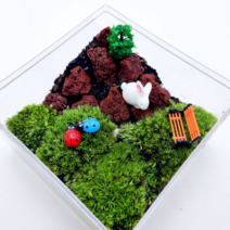 [비바소녀] 입문용 미니사각 테라리움 / 반려식물 이끼 선물 미니정원, 미니사각A타입(적화산석구성)