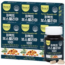 본트비 퍼펙트 보스웰리아, 6박스, 1001mgx60정