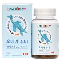 아이클키즈 유아 오메가 꾸미, 60정, 2개