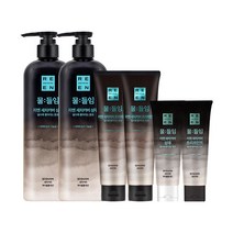 [자연갈색] LG 리엔 물들임 새치커버 샴푸 450ml 2개 + 트리트먼트 자연갈색 150ml 2개 + 샴푸 자연갈색 80ml +트리트먼트 자연갈색 80ml, 단품