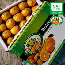 백화점 납품 프리미엄 선물용 불로초 감귤 선물세트, 3kg / 1.5kg 로얄과(2S~M) 1+1