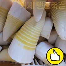 [품질보장] 거제 햇 맹종죽순(삶은죽순) 1kg 사찰음식, 1box