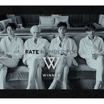 [일본직구]위너 일본싱글앨범 CD and DVD[뮤비와 다큐]