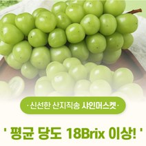 [산지직송]김천 샤인머스켓 고당도 애플 망고 청포도 국내산 샤인머스캣 설 명절 과일선물세트 2송이 3송이 1kg 2kg 2.5kg, 특품 2kg 내외(2~3송이)