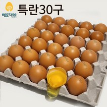 [오늘낳은 달걀] HACCP농가 에그트리 생계란, 1개, 특란, 30구