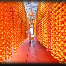 상주 곶감 반건시 35개 2.1kg 명절 거래처 부모님 선물용 개별포장