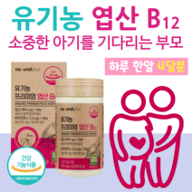 프리미엄 유기농 엽산 엽산 영양제 엽산 FOLICACID 임산부 엽산 권장량 엽산 남자 수유 엽산 비타민 B12 엽산 임산부 엽산 복용시기 엽산 보충제 임신 초기 영양제, 4개월분, 300mg x 60정 (하루1정)