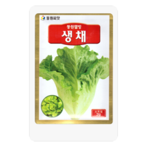 생채씨 2g 생채 상추 씨앗 대장 동원종묘