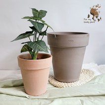 데로마 바소알토 18cm 22cm 26cm 이태리 토분 화분 고급 인테리어 토분, 화이트