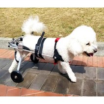강아지 휠체어 보행기 애견의족 슬개골보호대, 레드 M형 차우차우 사츠마