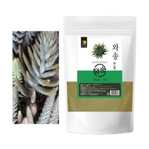 와송 분말 먹는법 바위솔지상부 500g, 1개