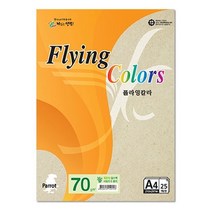 [어니:D#] 플라잉칼라 Pk02 얼스팩 A4 70그램 복사용지 25매입 10개 8229998EA