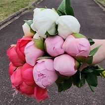 작약 생화 1송이 농장직송 생화택배 꽃도매 양재꽃시장, 연핑크