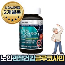 뉴질랜드초록홍합 엔아세틸글루코사민 1통 2달분, 1개