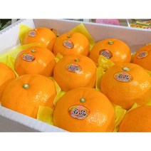 허니삼구 새콤달콤 고당도 천혜향 3KG 5KG, 10KG내외(38-58과)