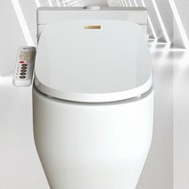 애플통변비데 Apple-868 직수형순간온수비데