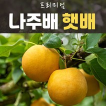 프리미엄 나주배 22년 신고배 7.5kg 11-13과