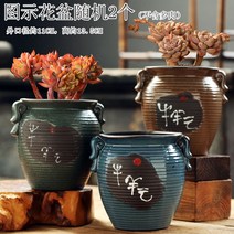다육화분 다육이 심폴 화분 식물 미니 화분세트, 도자기, 옵션75