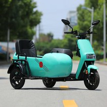 성인자전거 세발 어른 삼륜 3발 할리 스쿠터 저렴한 전기 트라이크