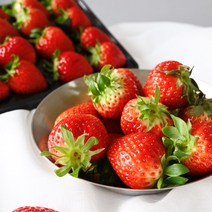 설향딸기 500g / 700g 고당도 딸기 당일 수확 논산 딸기