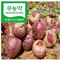 무농약 국내산 레드비트 5kg