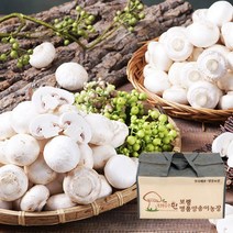 보령머쉬팜 양송이 버섯 포타벨라 선물세트 (1KG/2KG), 선물용세트, 양송이버섯 1kg부직포 선물용