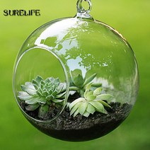 12pc 6/8cm 투명 공 글로브 모양 취소 교수형 유리 꽃병 꽃 식물 테라리움 컨테이너 마이크로 풍경 DIY 웨, [01] 8CM flat bottom, 01 8CM flat bottom