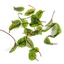 쏘렐 레드쏘렐 1팩 10g