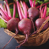 담양 유기농 비트 2kg 레드비트 햇비트 생비트 무농약 비트 유기농채소 무농약야채 적비트