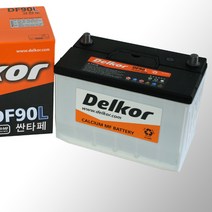 델코 DF90L R, DF90L_폐전지반납안함, 100개