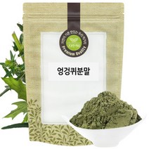 [생생드림] 엉겅퀴 분말 가루 300g 국산 국내산, 상세 설명 참조, 상세 설명 참조, 상세 설명 참조
