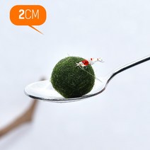 수초-귀여운 미니 마리모 2cm-열대어 어항 수족관 수중식물/헬로아쿠아