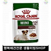 3개월강아지사료추천 웰시코기사료추천 애견사료추천 어린강아지사료 5개