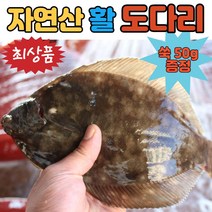 (최상품) 삼천포 봄도다리 자연산 생물 손질 생선 도다리 생도다리 쑥국 쑥 도다리국 도다리탕 밀키트 세트, 손질 도다리 (800g)