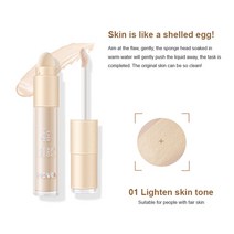 노보 더블 헤드 컨실러 페이스 커버 여드름 자국 다크서클 주근깨 내츄럴 페이스 3색 컨실러 위드 스펀지 브러시, 1