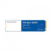 Western Digital WD Blue SN570 M.2 NVMe (1TB), 1