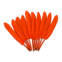 거위깃털 대 약4~5.3cm×18~21cm 빨강 100개 자연재료 거위털 인디언장식 노리프렌즈 만들기재료
